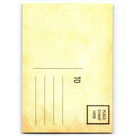 Vintage Halloween Postcard Little Cute Girl Witch with Black Cat Photochrome - Picture 2 of 2